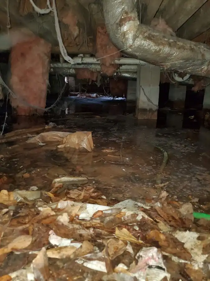 Crawl space flood assessment for Leak Detection & Repair in Lewisville